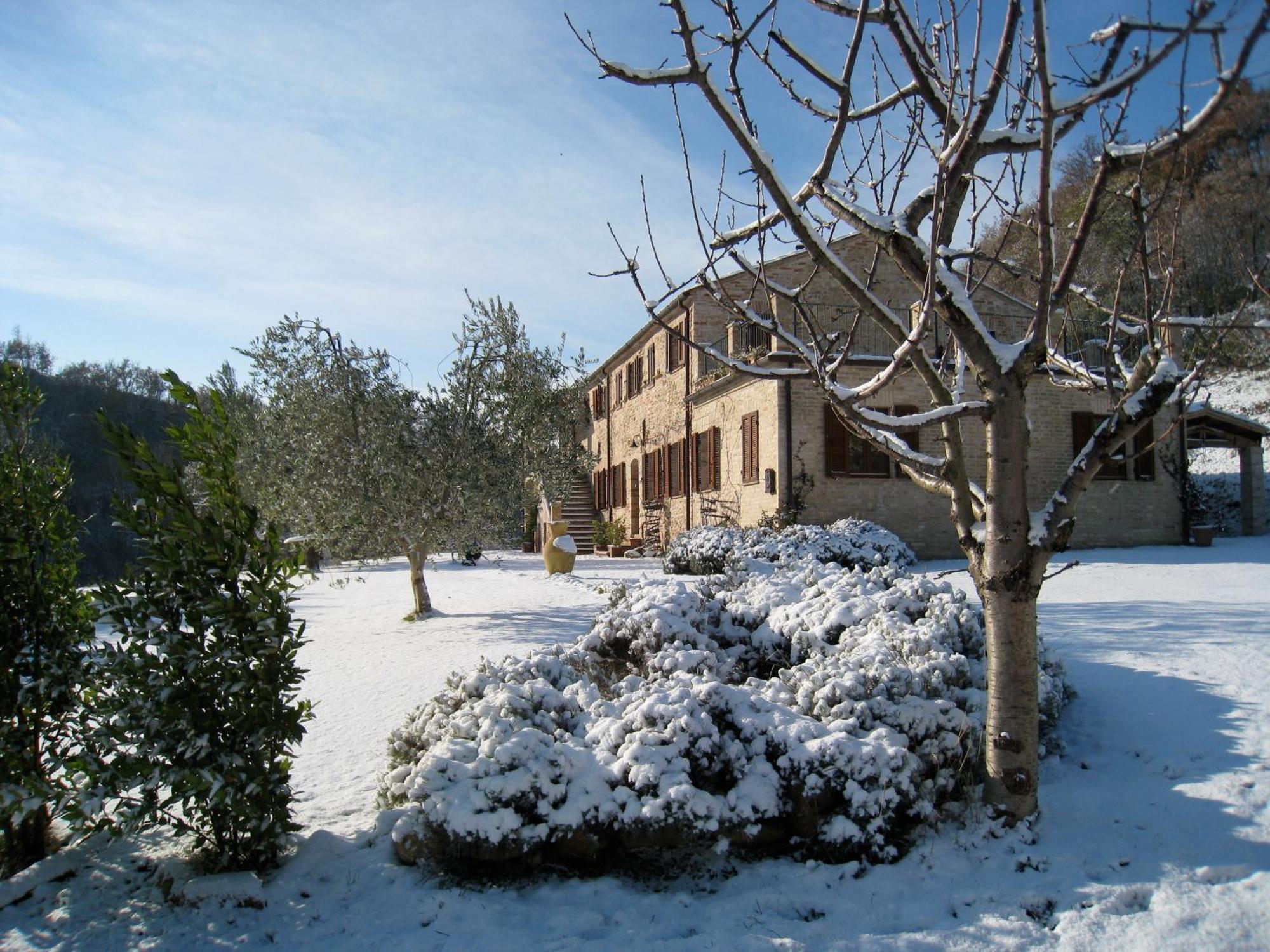 Apartamento Casa Delle Sorgenti Montefiore dellʼAso Exterior foto